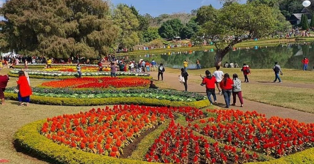 Pyin Oo Lwin Flower Dreamland 2023