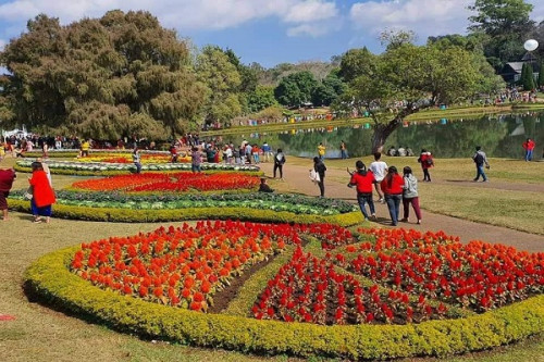 Pyin Oo Lwin Flower Dreamland 2023