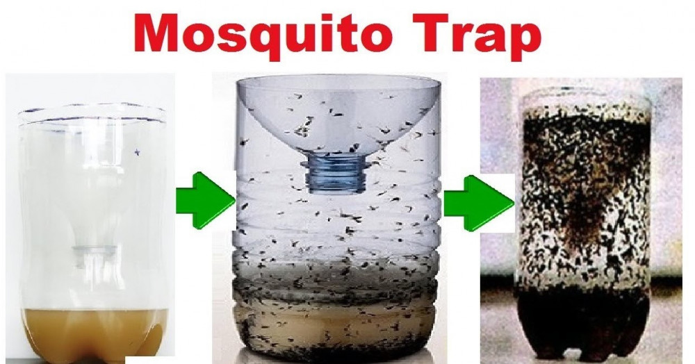 Home Made Mosquito Trap