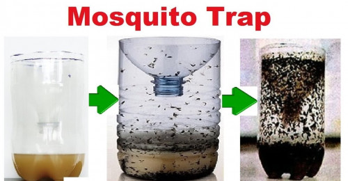 Home Made Mosquito Trap