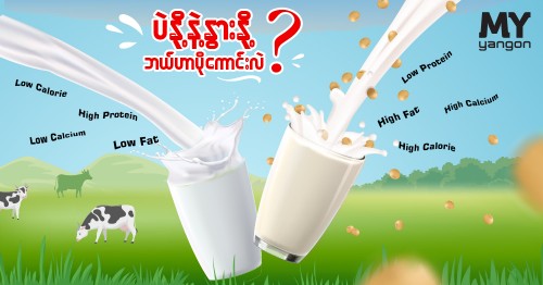 The different health benefits of milk and soy milk