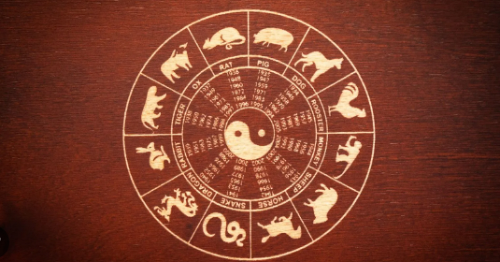2023 Chinese Zodiac Years