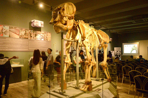 Elephant Museum In Yangon Zoo