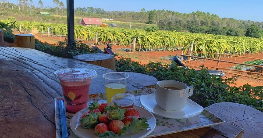 Golden Bee Farm At Pyin Oo Lwin