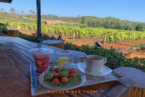 Golden Bee Farm At Pyin Oo Lwin