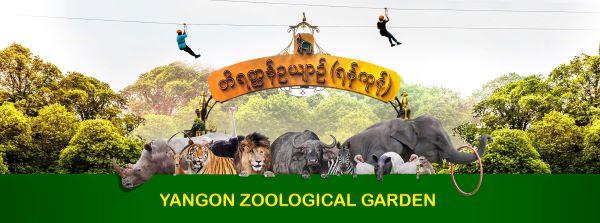 Yangon Zoo