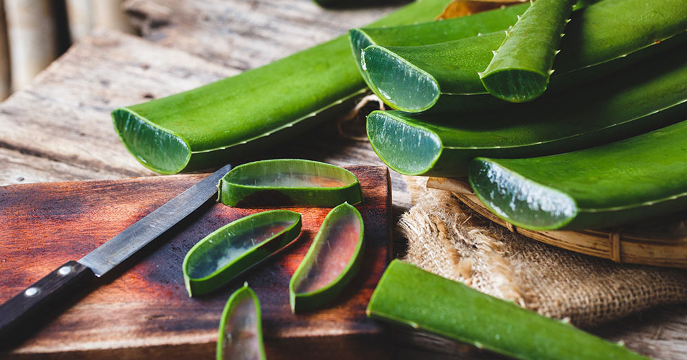 Where to use the useful aloe vera?