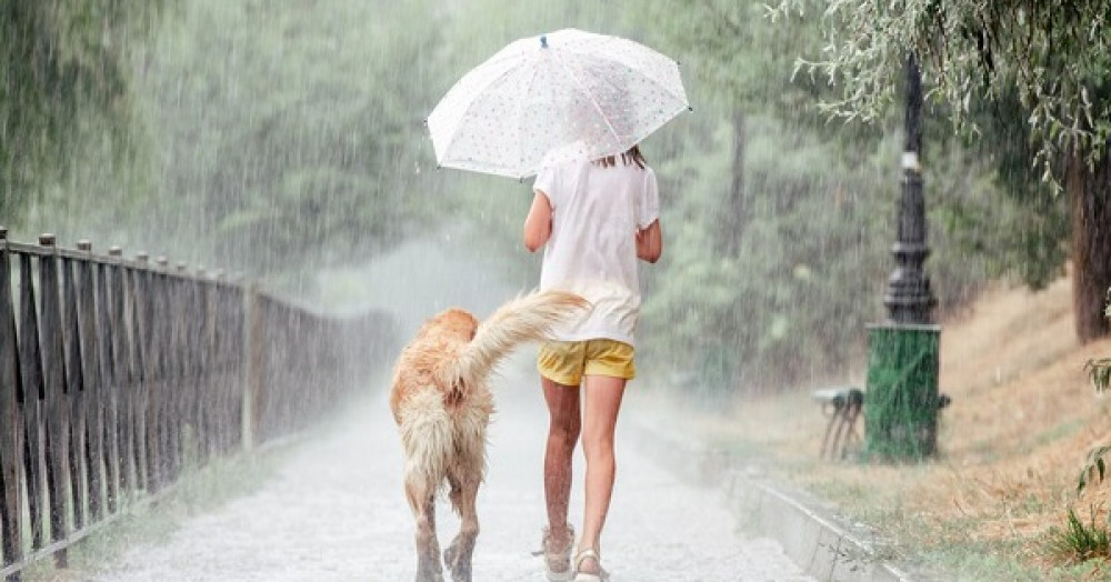 how-your-zodiac-sign-acts-on-a-rainy-day