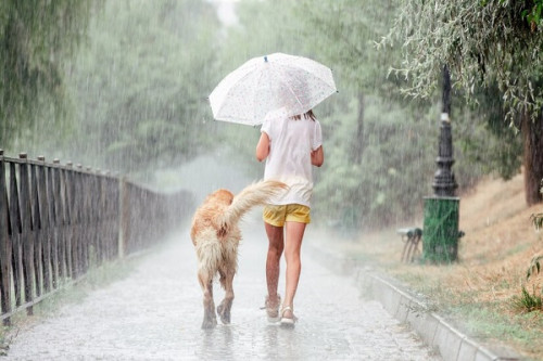how-your-zodiac-sign-acts-on-a-rainy-day