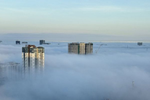 Discover endangered Irrawaddy dolphins with Expedia