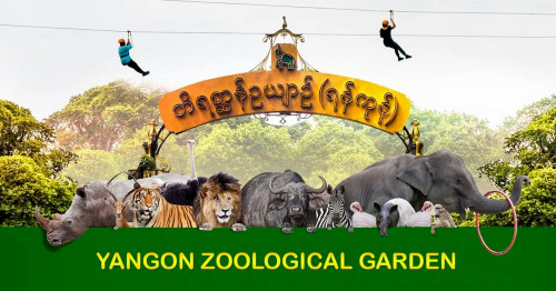  Lion, Elepnat, Bears and Pandas can be adopted From  Yangon Zoo